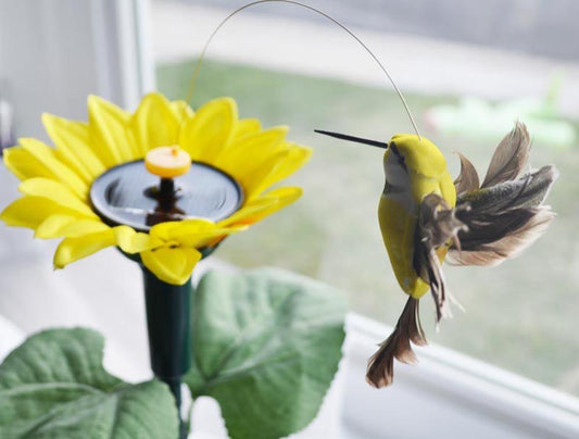 Solar Dancing Hummingbird With Sunflower