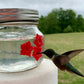🐦Beautiful Mason Jar Hummingbird Feeder W/Three Ports