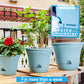 Automatic Water-Absorbing Flowerpot (Buy 1 Get 1 Free)