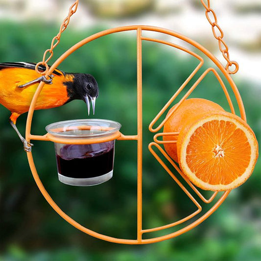 🐦Summer Hot Sale  -  Oriole Bird Feeder Orange