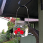 🐦Beautiful Mason Jar Hummingbird Feeder W/Three Ports